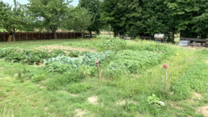 Henne Garten